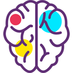 brain